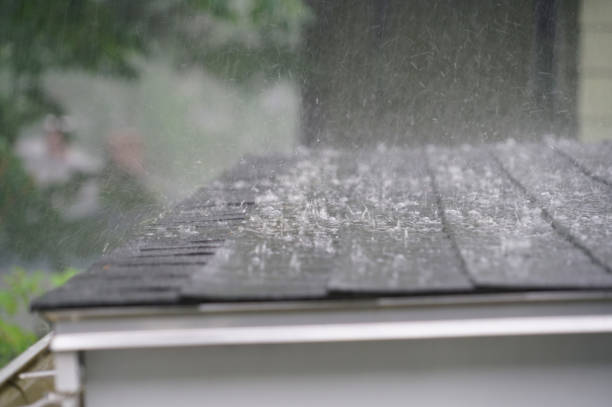 Best Emergency Roof Repair Services  in Loudon, TN