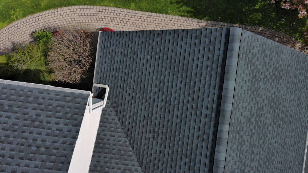 Best Roof Moss and Algae Removal  in Loudon, TN